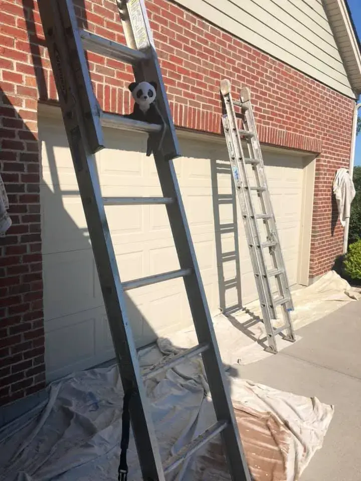 A small stuffed panda toy sitting on the rung of a tall metal ladder leaning against a brick house. - My Personal Painter - My Personal Painter In progress: brick and tan siding house exterior painted