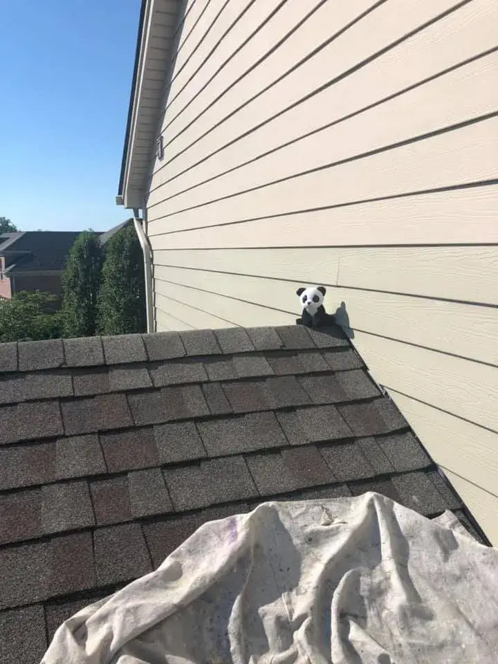 A small stuffed panda sits on the edge of a shingled roof next to the side of a house. - My Personal Painter - My Personal Painter In progress: brick and tan siding house exterior painted