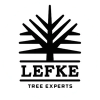 Logo for Lefke Tree Experts featuring a stylized black tree icon above the company name. - My Personal Painter - My Personal Painter Lefke Tree Experts logo
