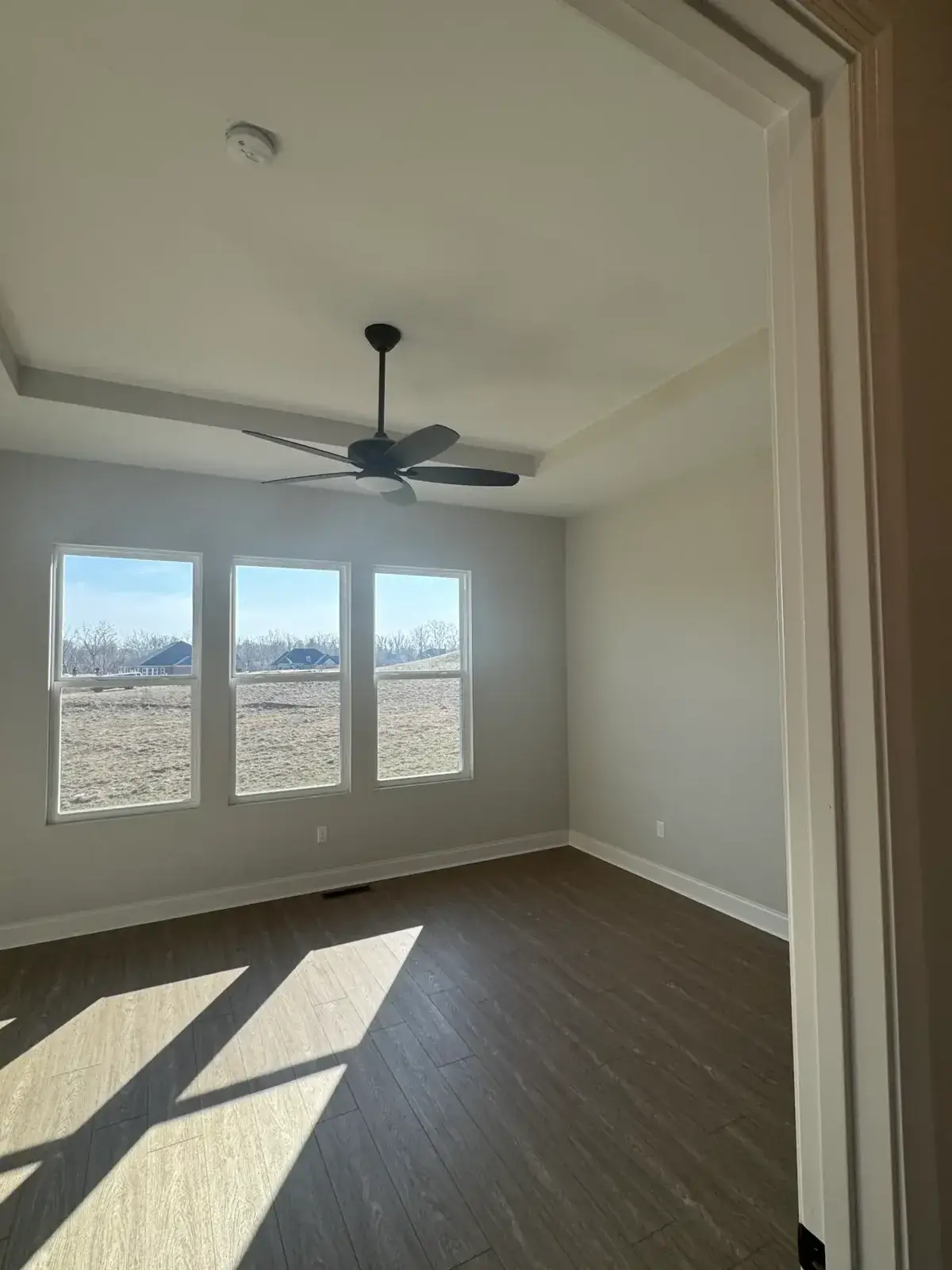 Empty room with wood-look flooring, a ceiling fan, and three windows overlooking a field. - My Personal Painter - My Personal Painter After: new-build house: black archway, accent walls and doors