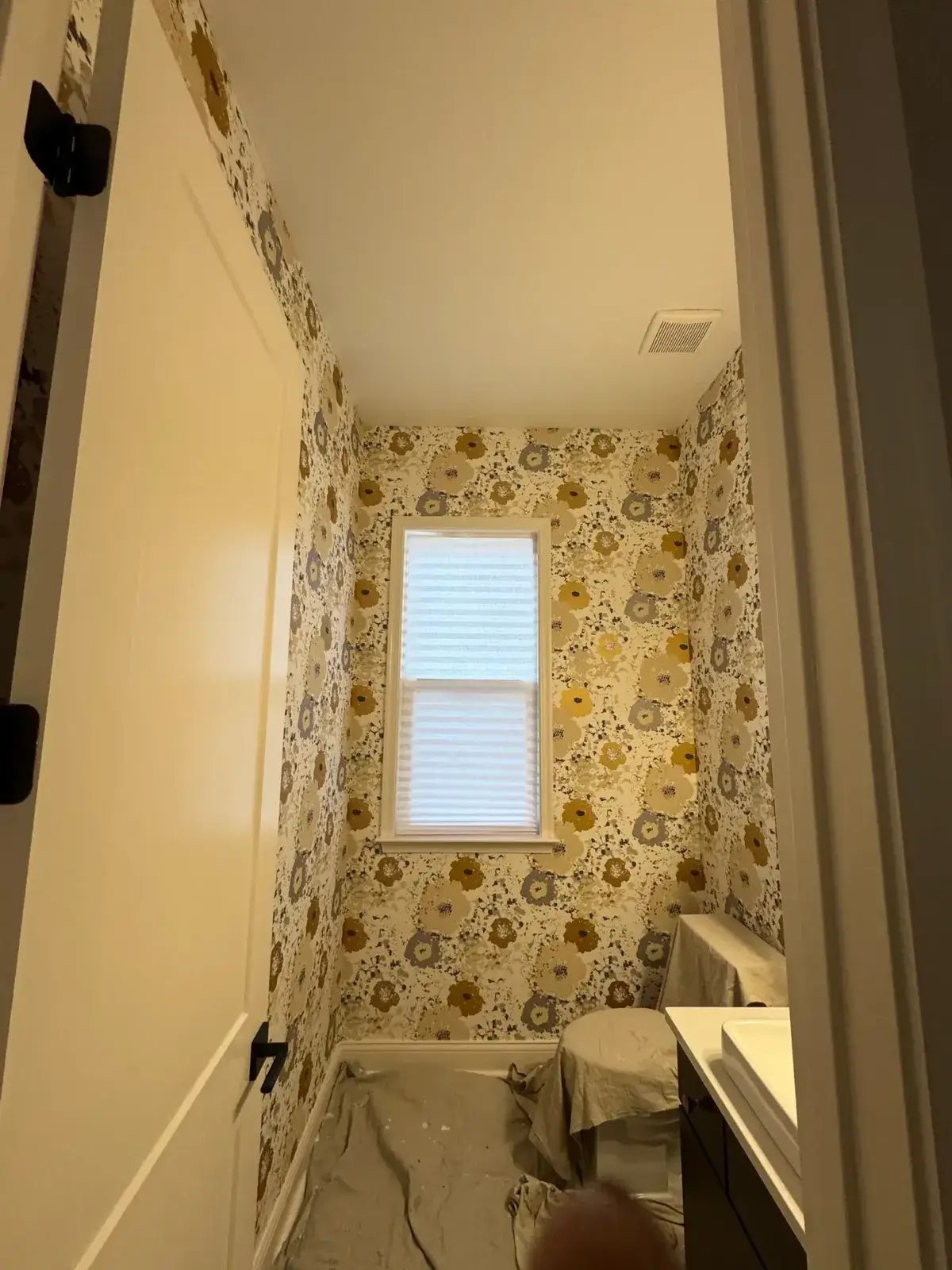 Before: powder room ceiling painted dark brown, bathroom wainscoting and green walls