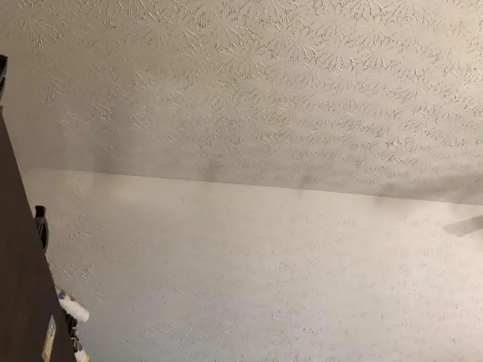 A white ceiling with a textured fan-like pattern. - My Personal Painter - My Personal Painter In progress: vaulted living room, stairwell and textured ceilings painted